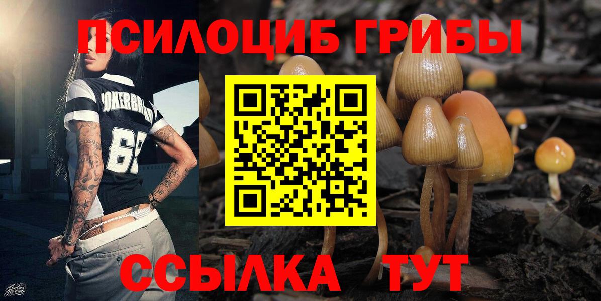 цены   Вход с VPN  Сегежа  Псилоцибиновые грибы Magic Shrooms 